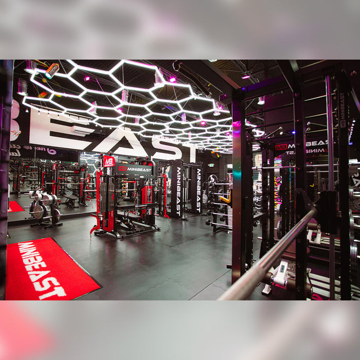 MINIBEAST - MB Ultimate ALL-IN-1 Total Home Gym