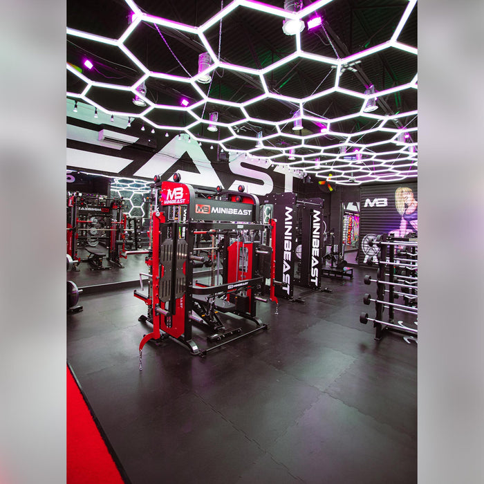 MINIBEAST - MB Ultimate ALL-IN-1 Total Home Gym