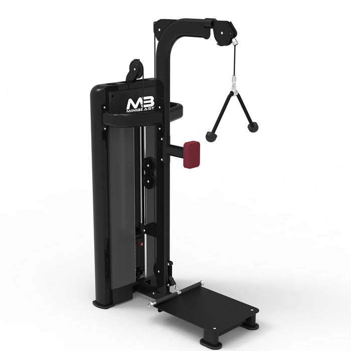 MINIBEAST - Bold Series - Standing Biceps/Triceps