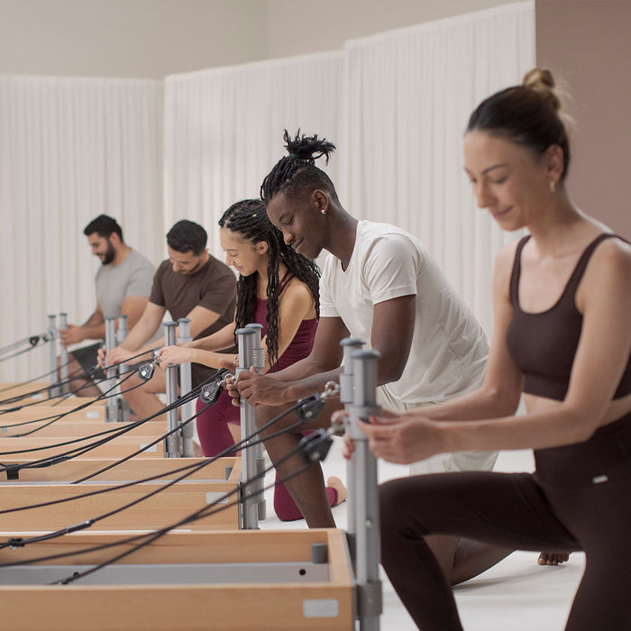 BASI Systems - Compact Reformer