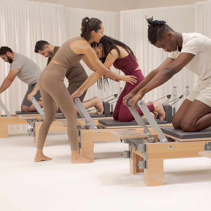 BASI Systems - Compact Reformer