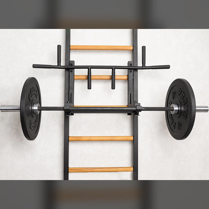 BenchK 233B - Series 2 - Wall Bars - Swedish Ladder - Versatile Home Gym System with Adjustable Pull-Up Bar and Dip Station